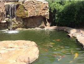 Water Features - Koi Ponds Photo 3
