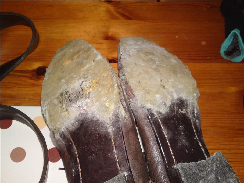 mold on leather shoes