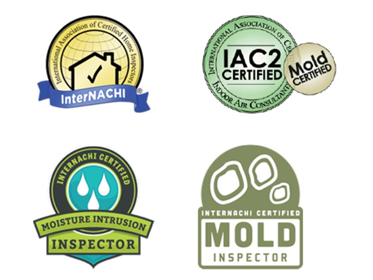 Mold Testing Westmoreland County Removal Green Home Dealerplatformweb Data Dealerlocationimage