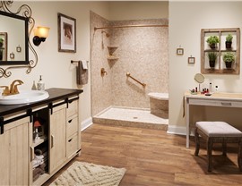 Bath & Shower Accessories - Shower Seats & Towel Bars Photo 2