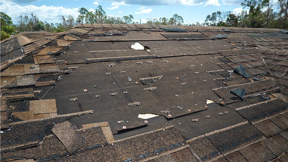Storm Damage Photo 1